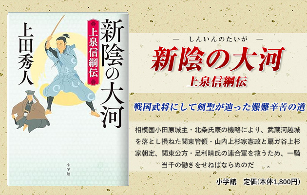 新陰の大河 上泉信綱伝